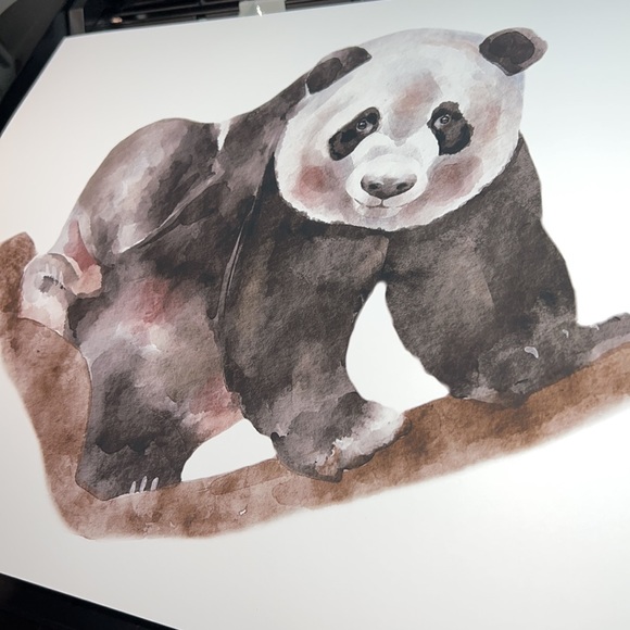 Watercolor Panda Portrait Wall Art Print Poster Unframed - Picture 11 of 16